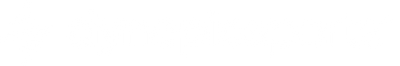 Dynepic Sports logo